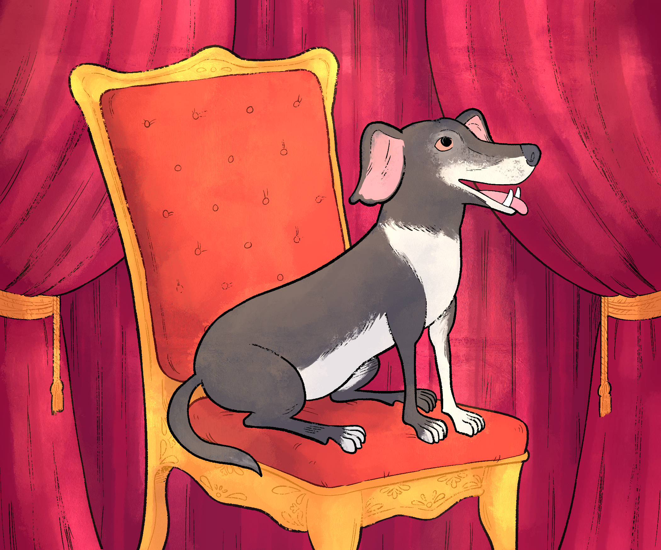 Portrait of a black and white dog on a red cushioned chair.