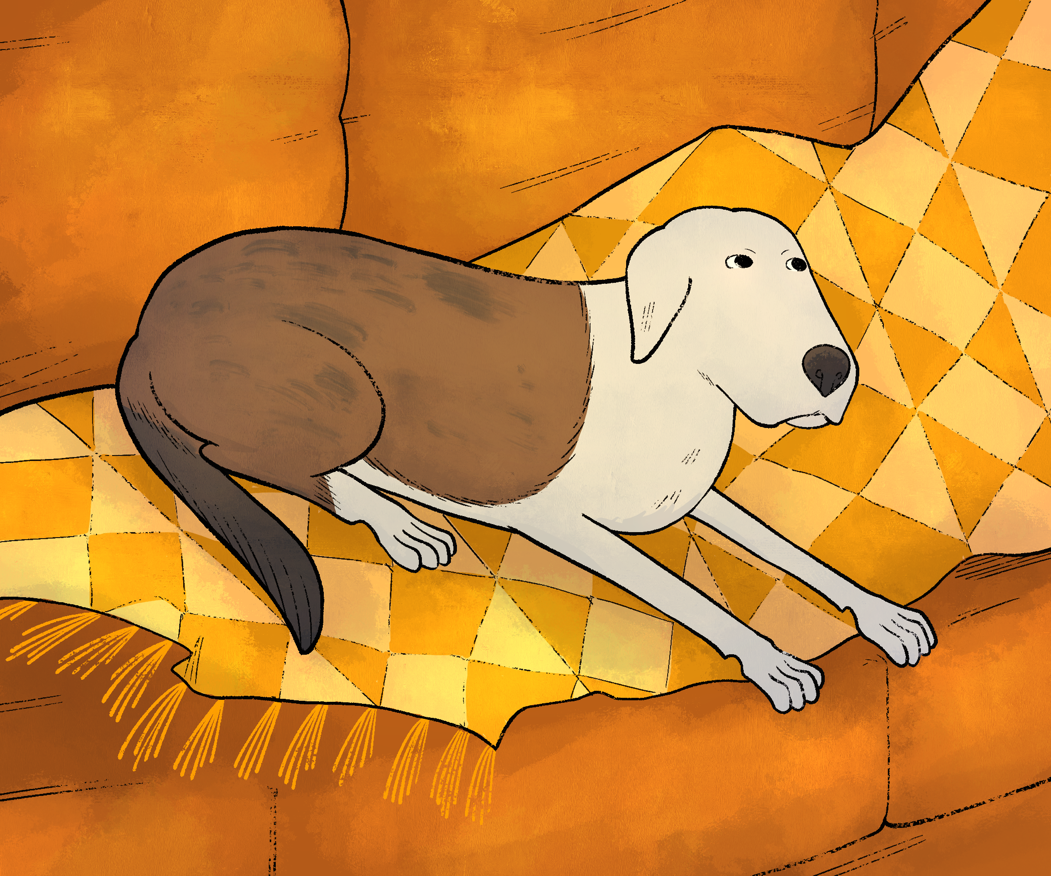 Portrait of a white dog resting on a yellow couch and blanket.